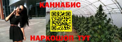 спиды Брянск