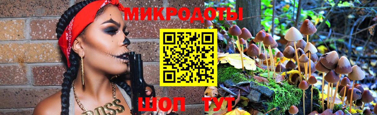 Псилоцибиновые грибы мухоморы Каменка