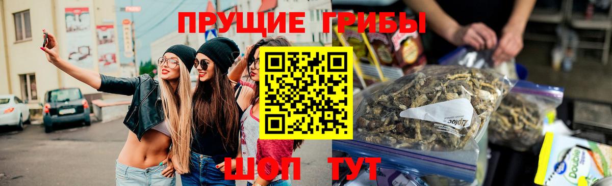 Каменка  купить  цена  Вход с VPN  Галлюциногенные грибы прущие грибы 